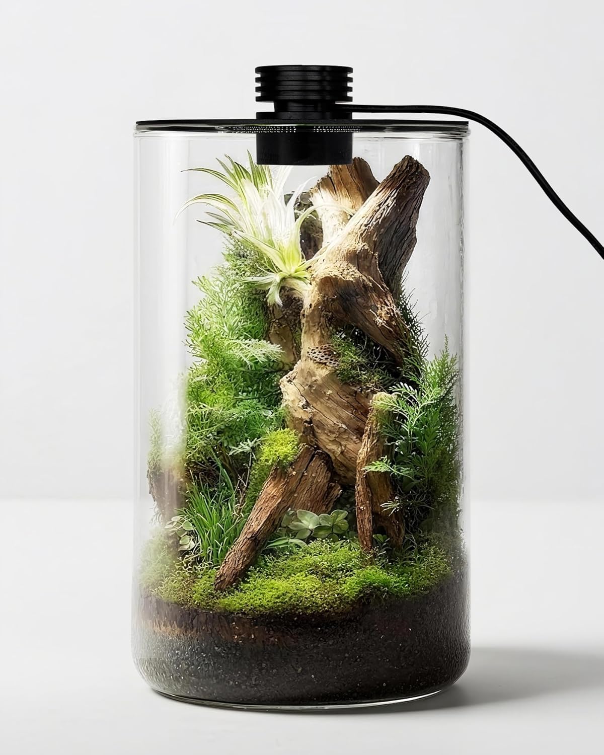Home Office With Plants - Glas-Terrarium für Innenräume mit Wachstumslampe, 24,9