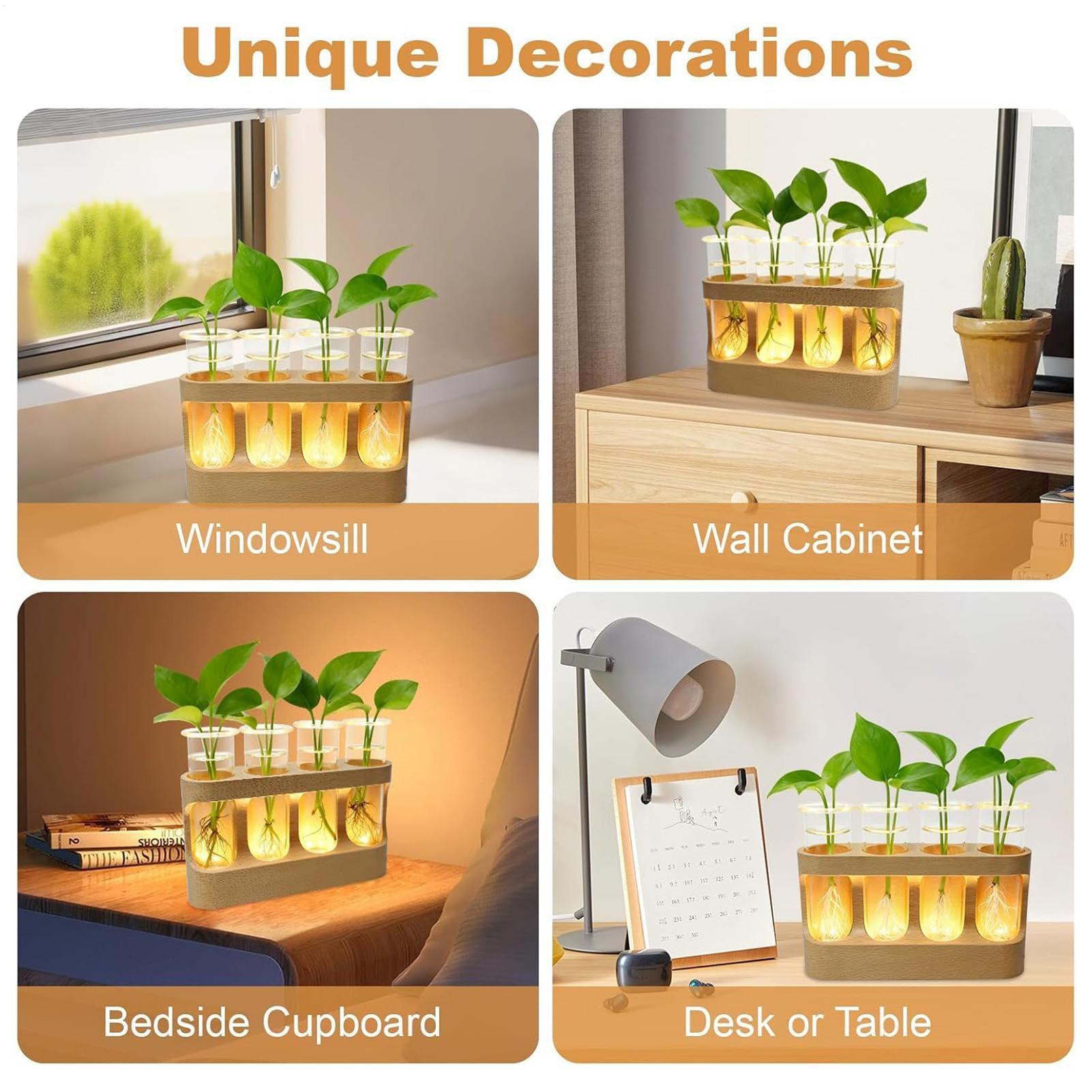 LED-Pflanzenvermehrungsstation – Home Office With Plants Bewertung und Preis