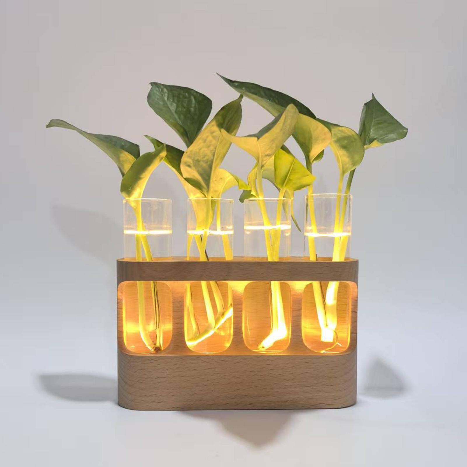 LED-Pflanzenvermehrungsstation – Home Office With Plants Bewertung und Preis