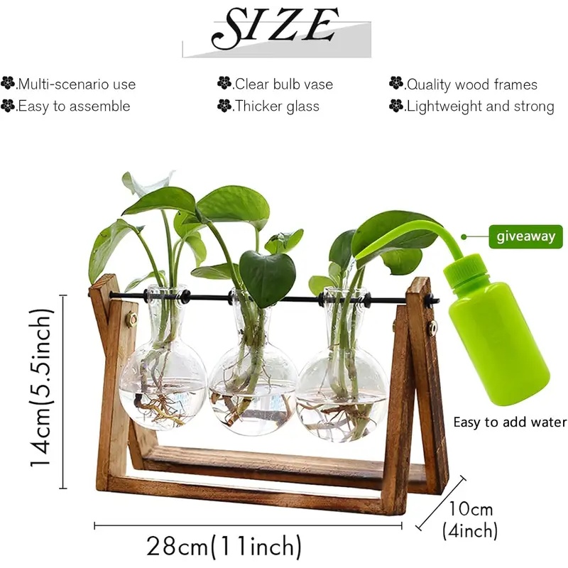 Hydroponisches Pflanzenterrari – Home Office With Plants Bewertung und Preis