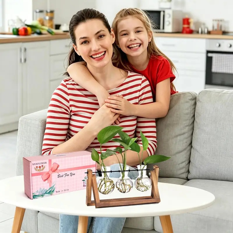 Hydroponisches Pflanzenterrari – Home Office With Plants Bewertung und Preis