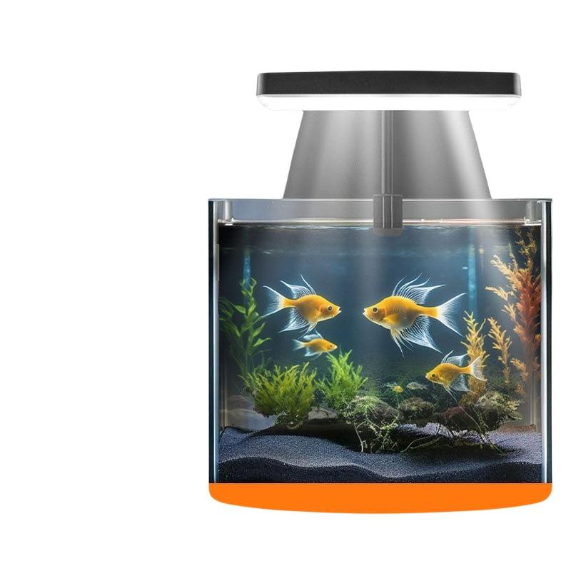 USB-Aquarium-Clipleuchte mit F – Home Office With Plants Bewertung und Preis