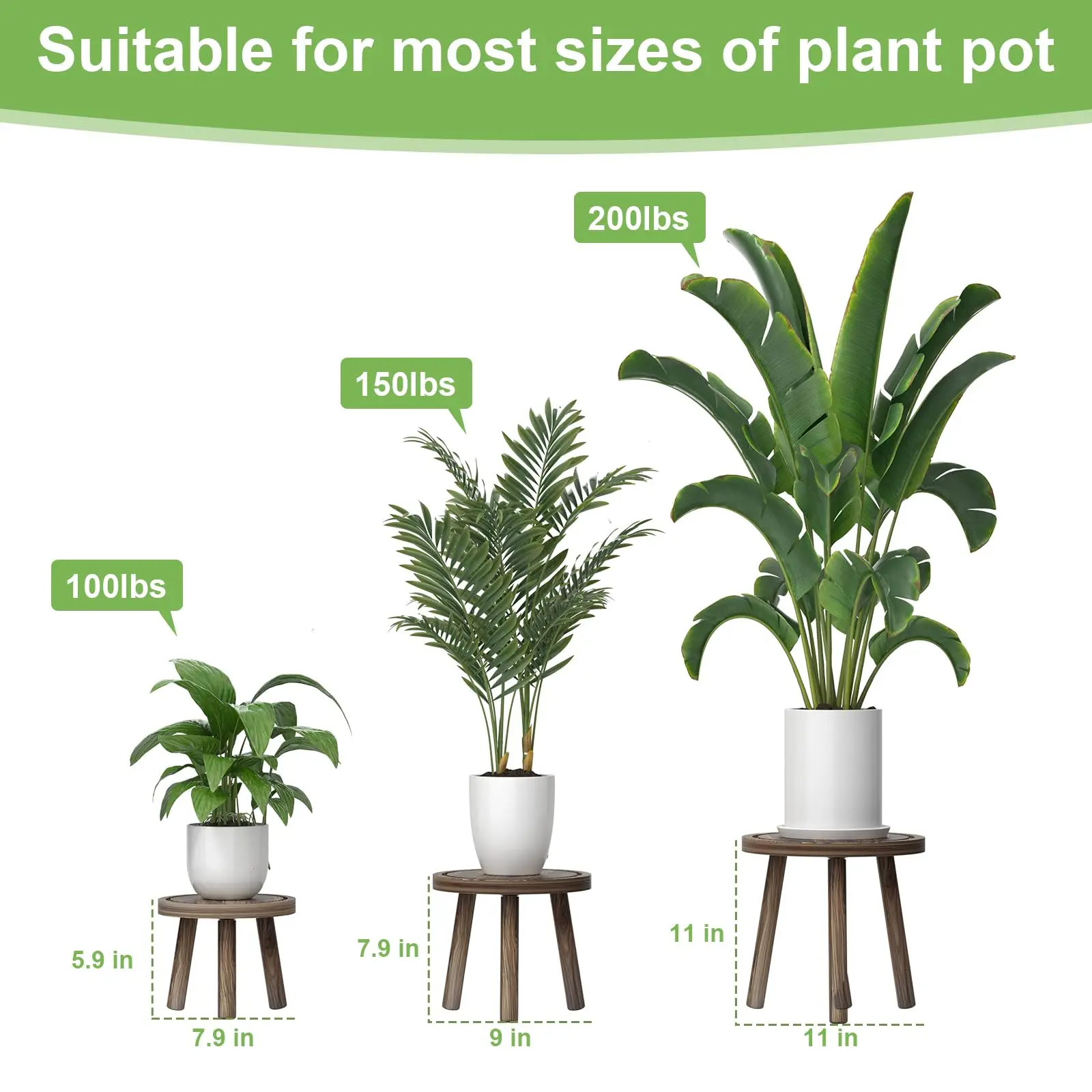 3-teiliges Holz-Pflanzenstände – Home Office With Plants Bewertung und Preis