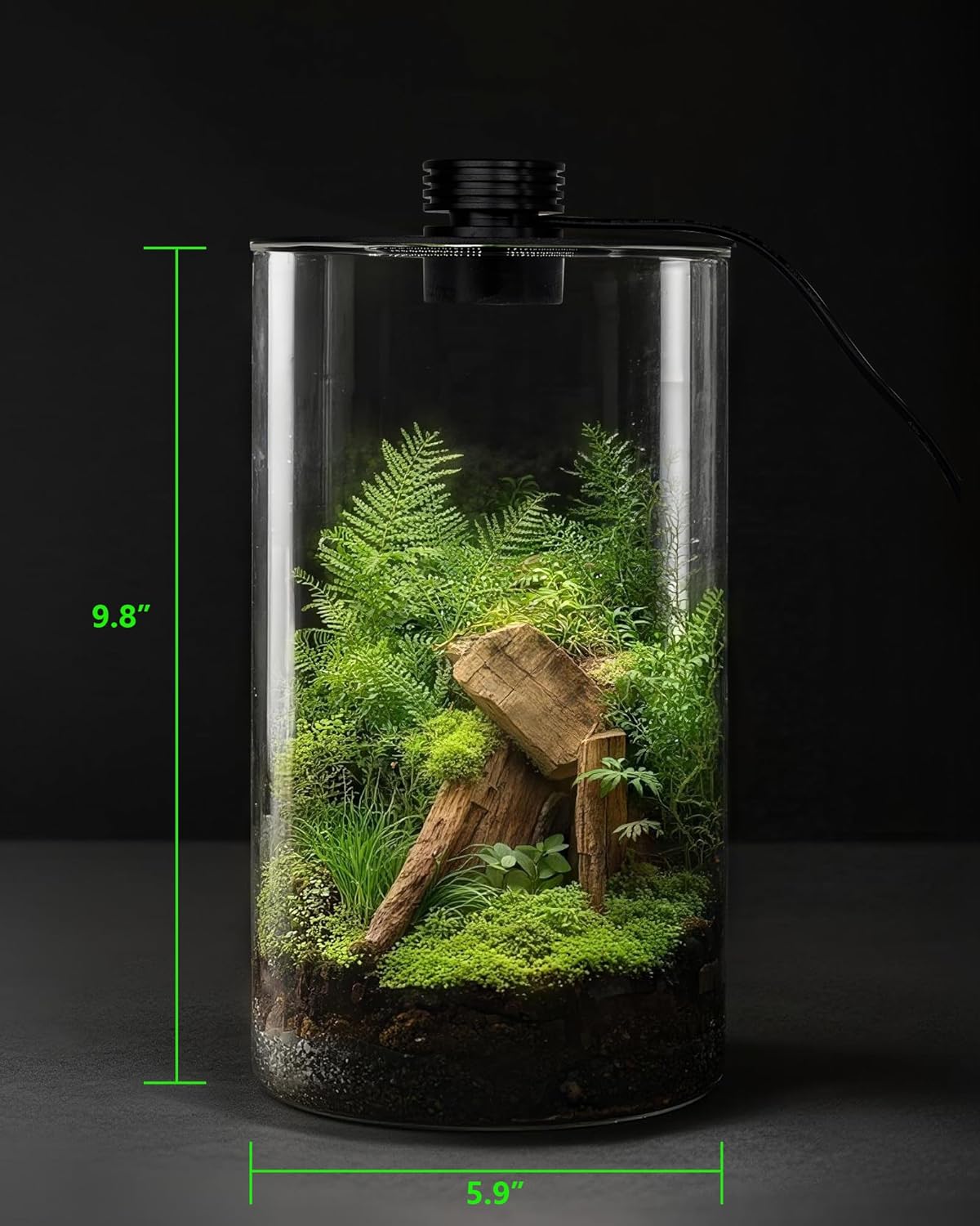 Glas-Terrarium für Innenräume  – Home Office With Plants Bewertung und Preis