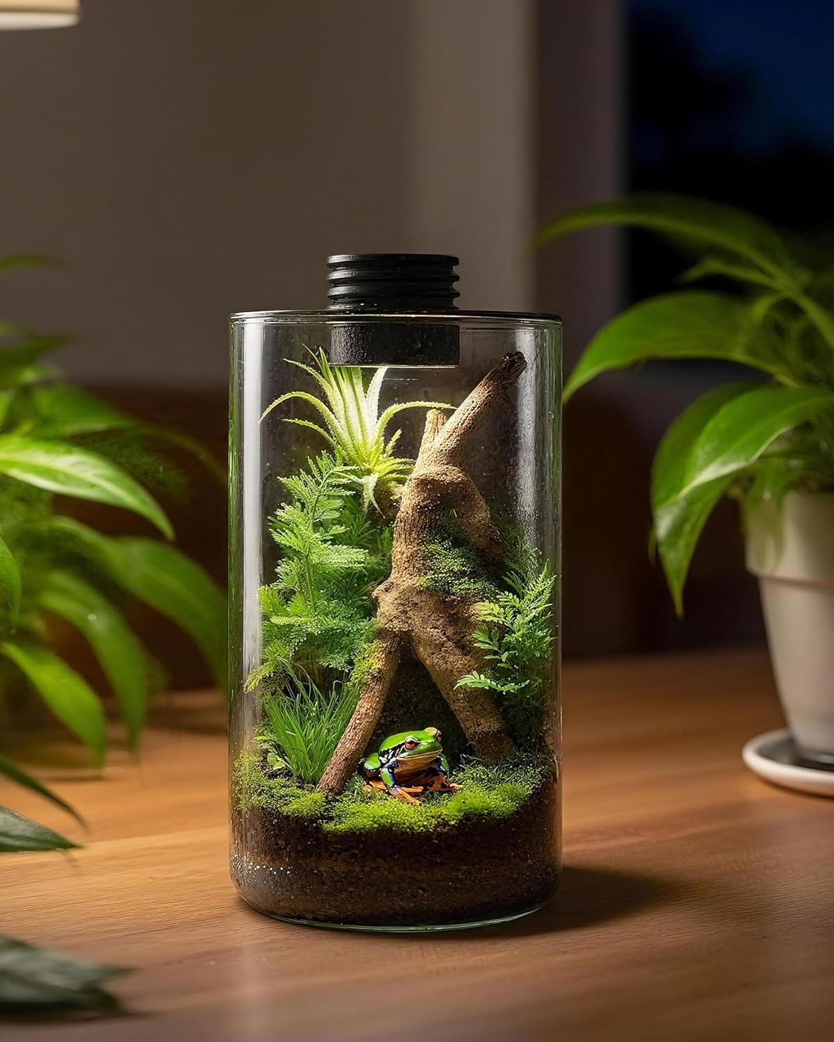 Glas-Terrarium für Innenräume  – Home Office With Plants Bewertung und Preis