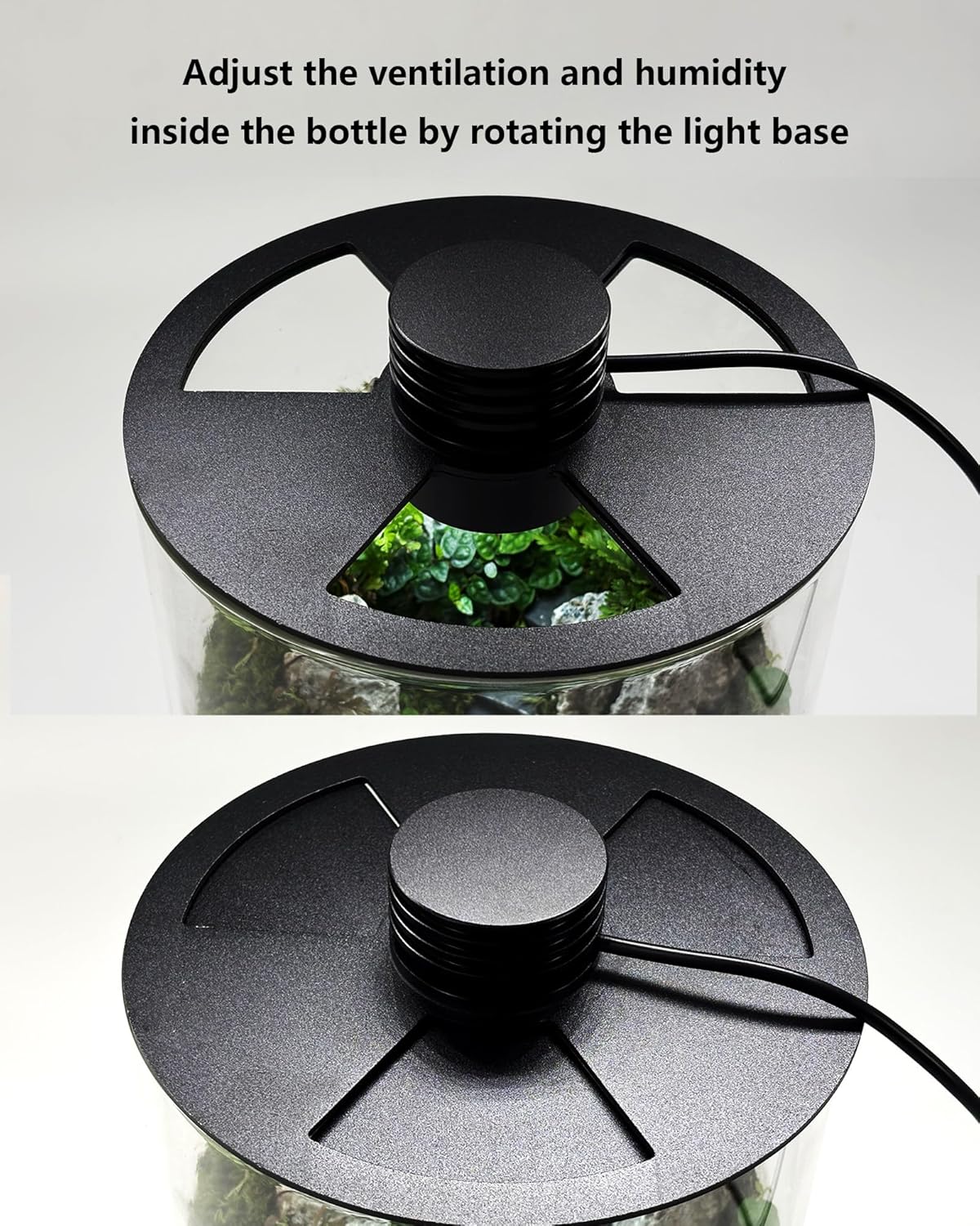 Glas-Terrarium für Innenräume  – Home Office With Plants Bewertung und Preis