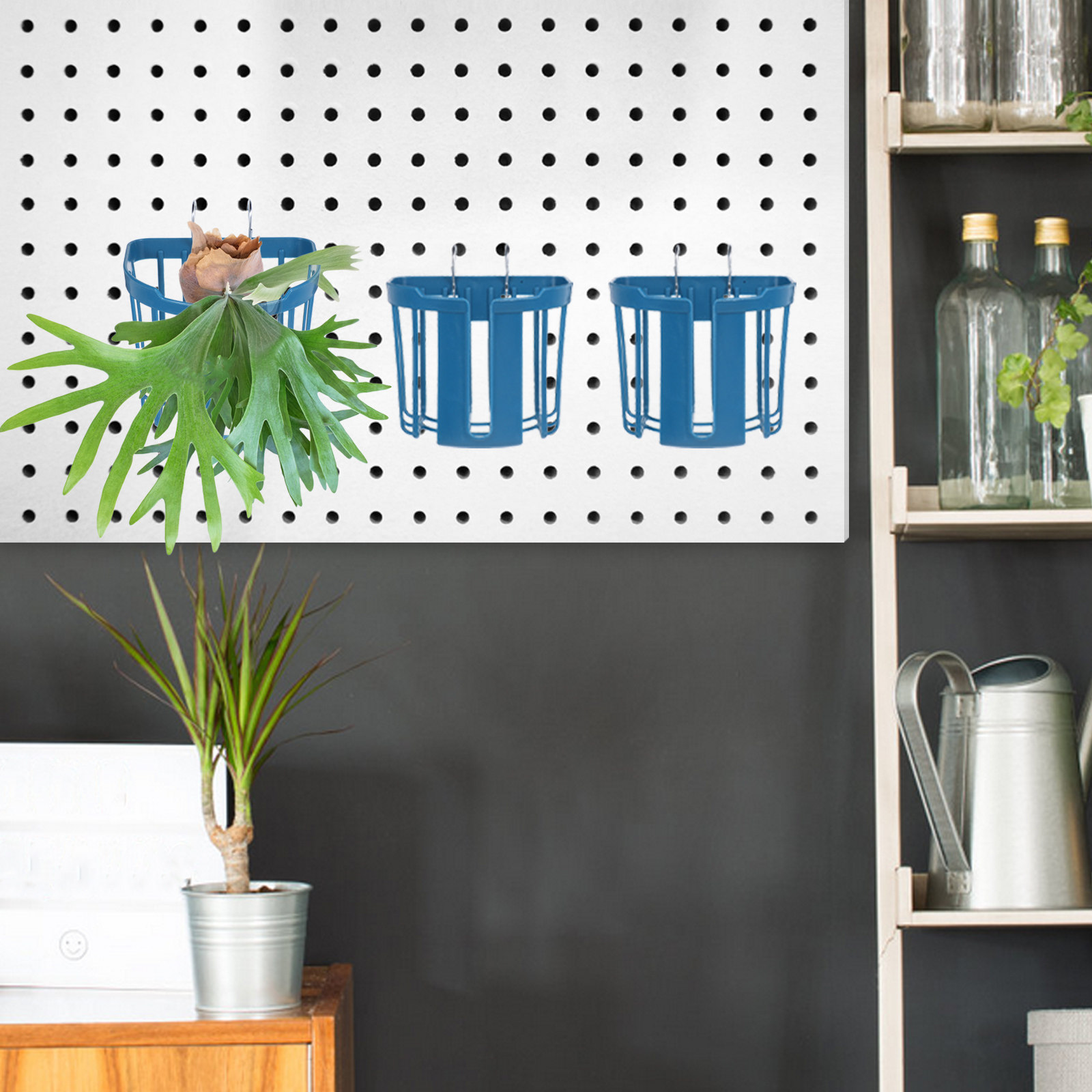 4 Stück Wandmontierte Pflanzkö – Home Office With Plants Bewertung und Preis